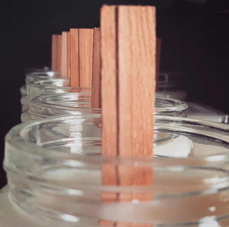 Single Wick Soy Candles